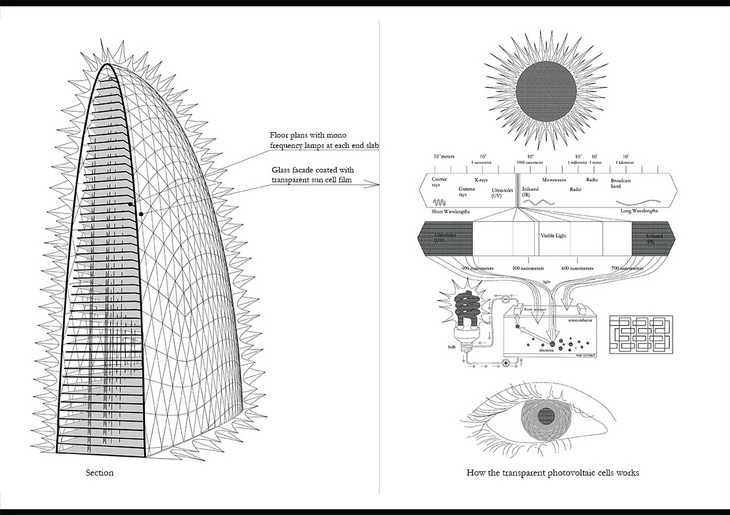 Miami Sun visiondivision