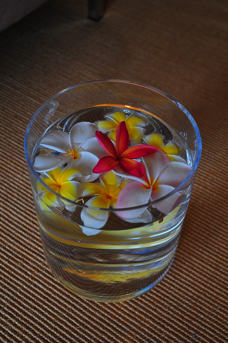 Hawaii SPAPLAN