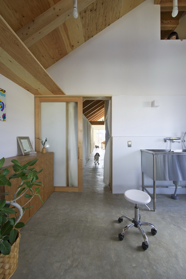 Dog Salon