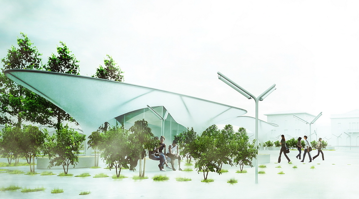 Medolla Disguincio&Co