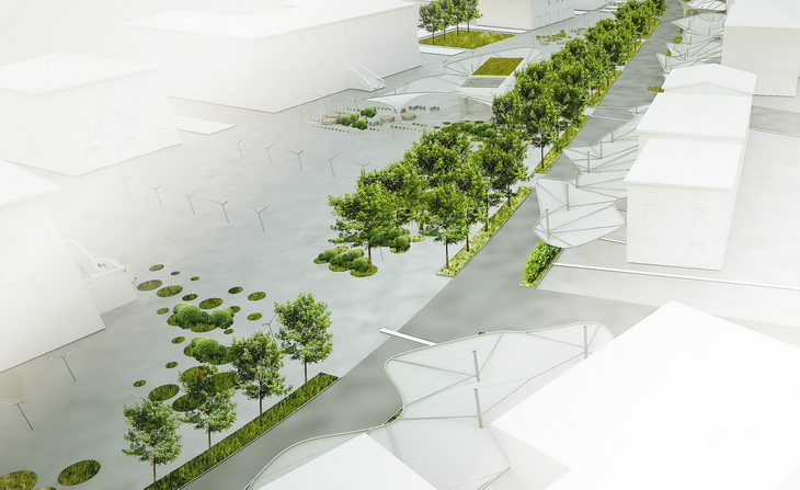 Medolla Disguincio&Co