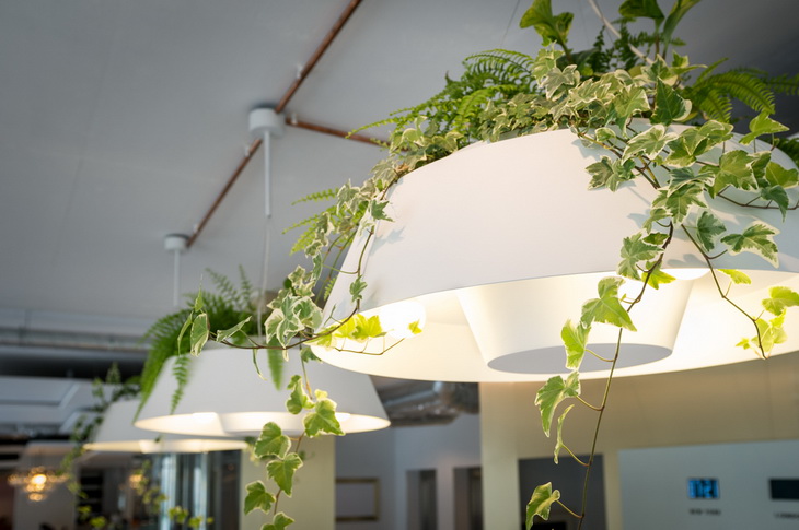 Sunny Restaurant Riga