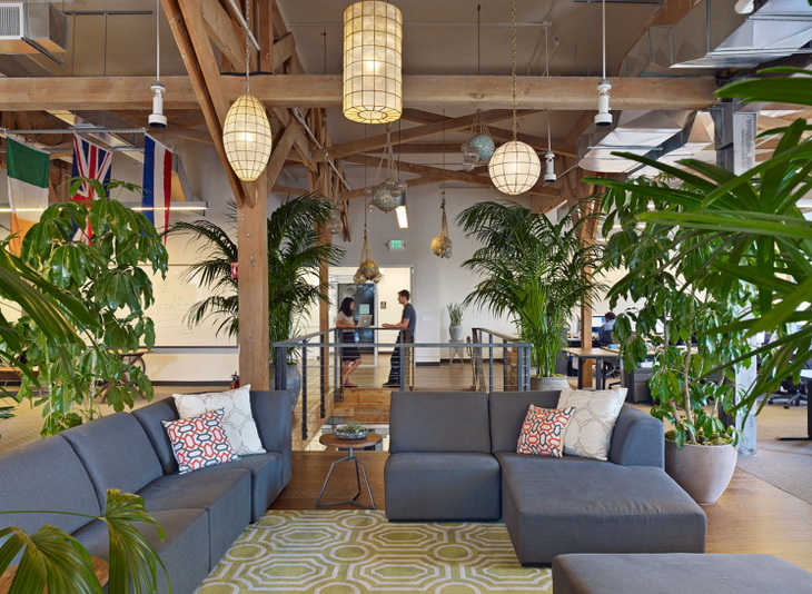 Stripe Office