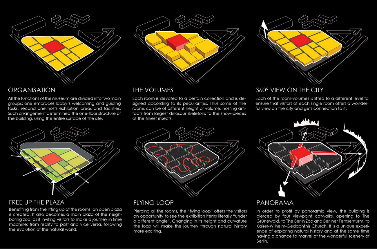 Floating Curiosity Cabinet