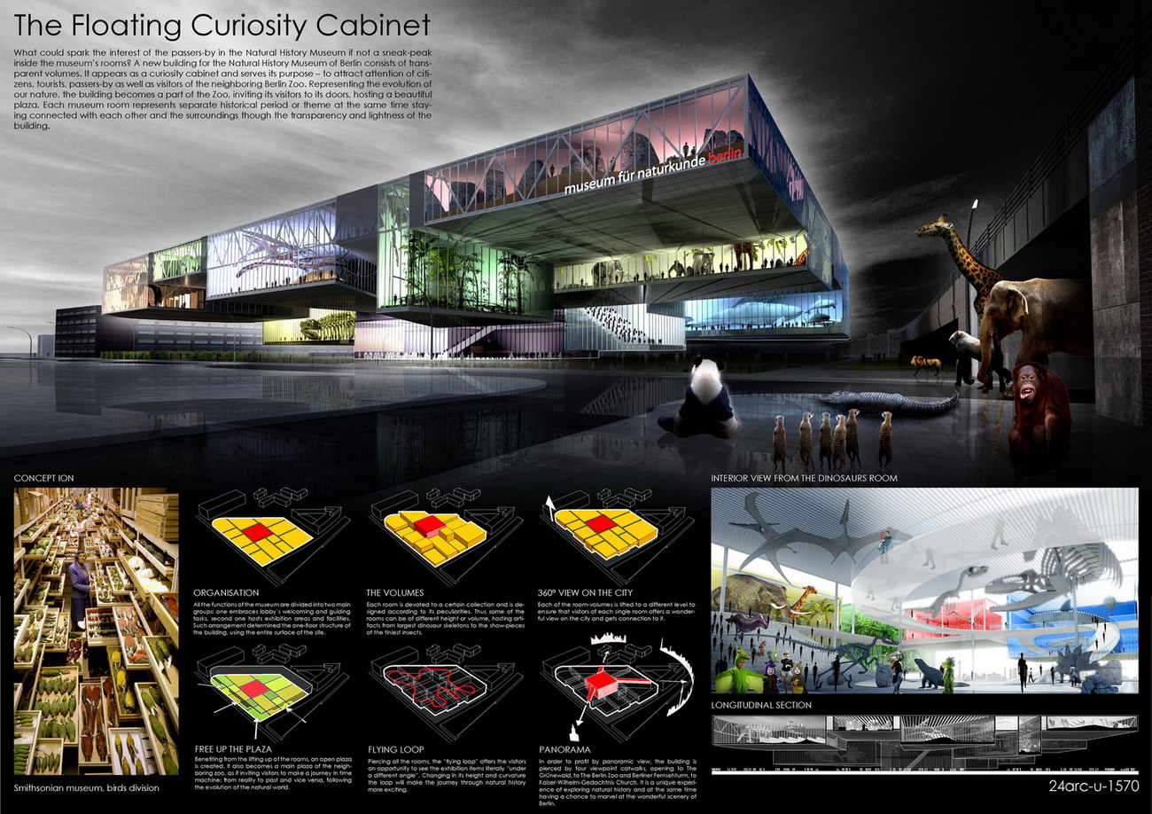 Floating Curiosity Cabinet