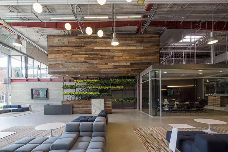 Team One Offices Shubin Donaldson 03