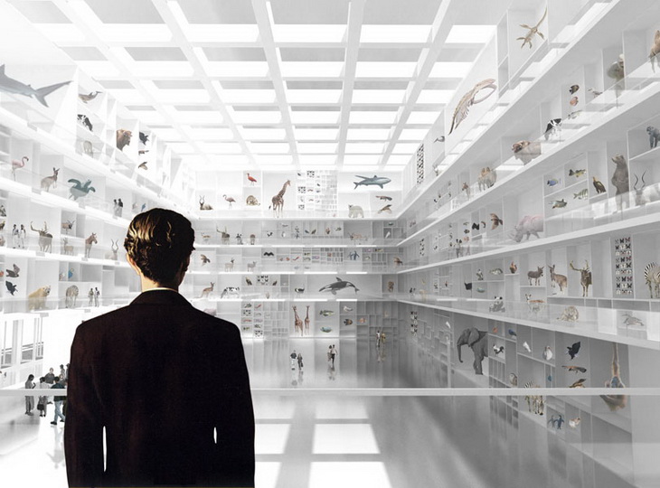 Wunderkammer Berlin Natural Science Museum