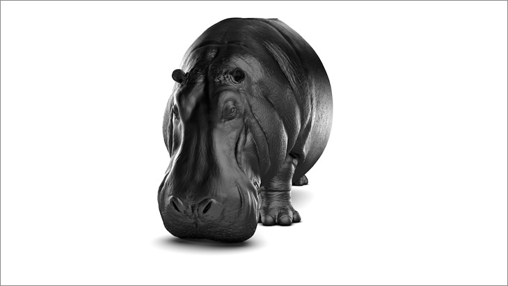 Hippopotamus Chair