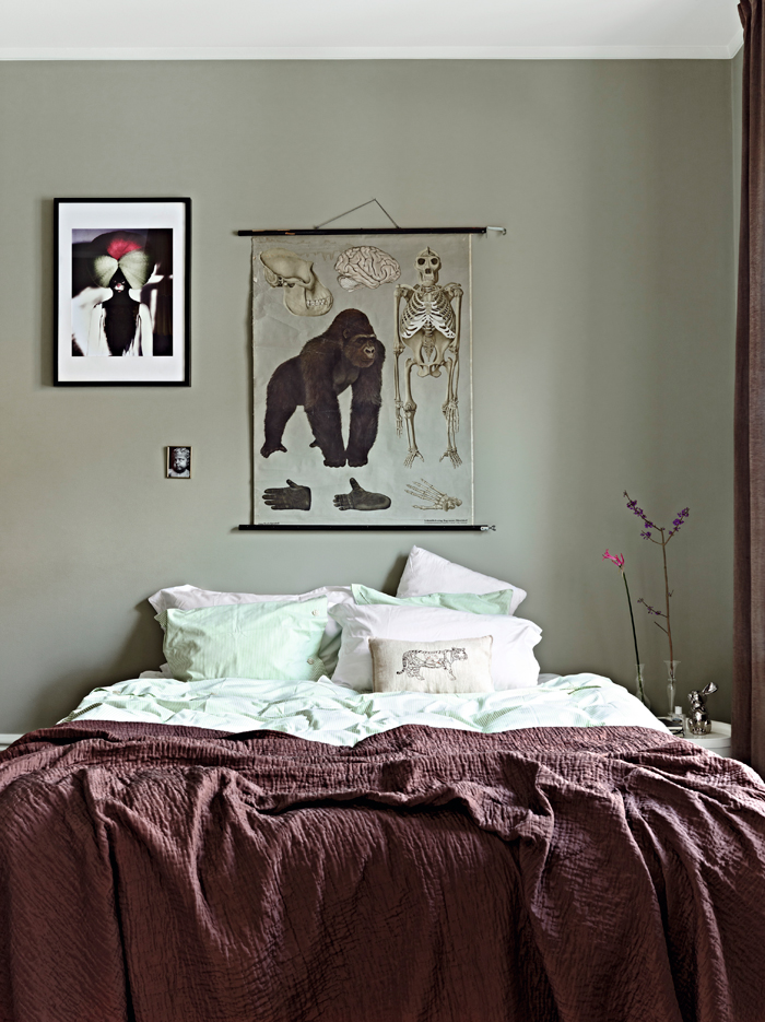 Home Designer 05