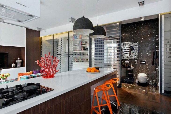 Clever Kiev Apartment (2)