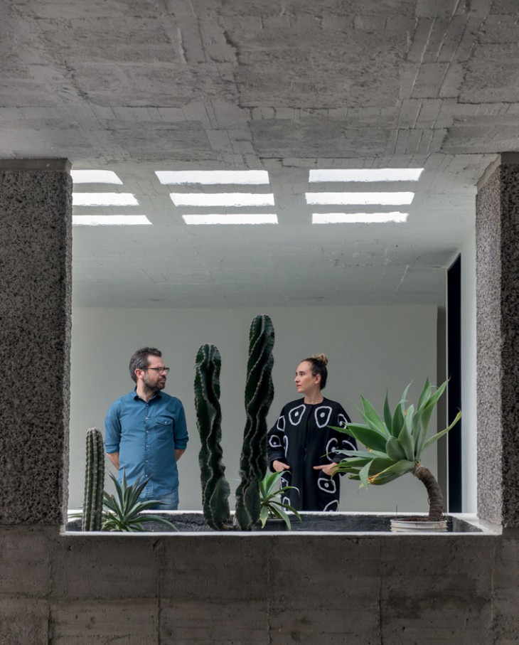 Mexico City House (1)