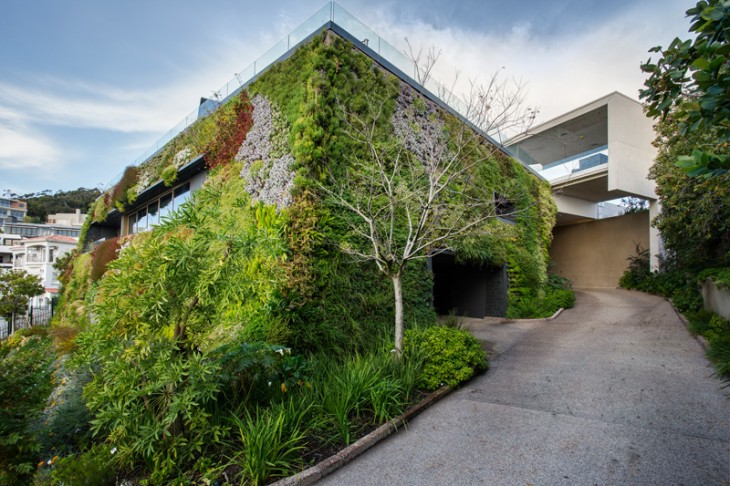 SAOTA and Studio Parkington (15)