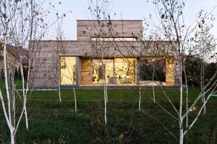 Cedar House by Mariusz Wrzeszcz Office