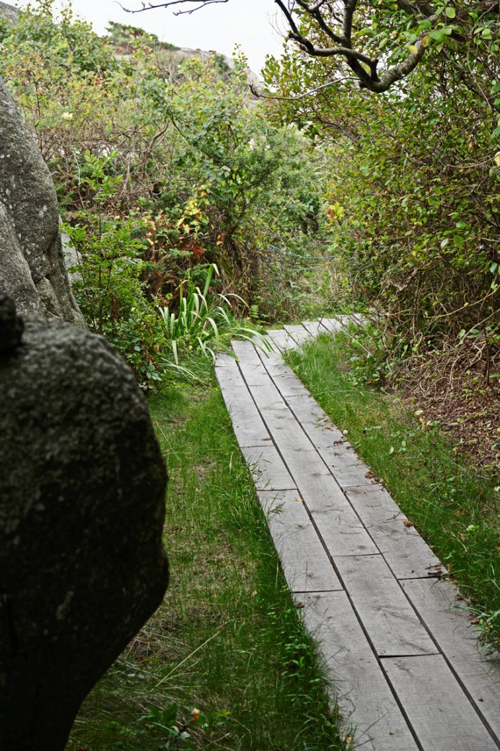 Contemporary Cabin (5)