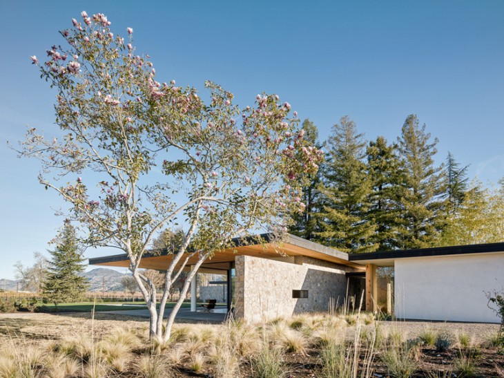 Oak Knoll Residence (4)