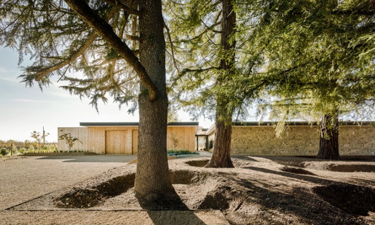 Oak Knoll Residence (7)