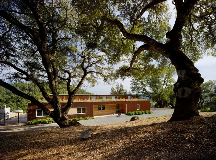 Cloverdale Residence (11)