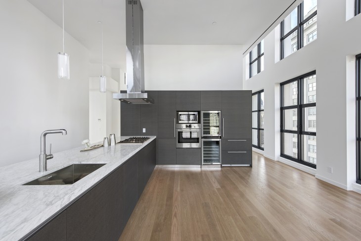 Penthouse in TriBeCa (5)