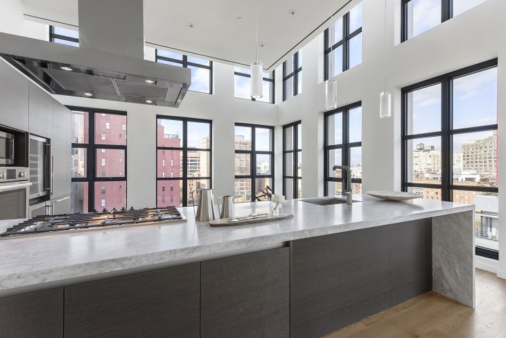 Penthouse in TriBeCa (6)