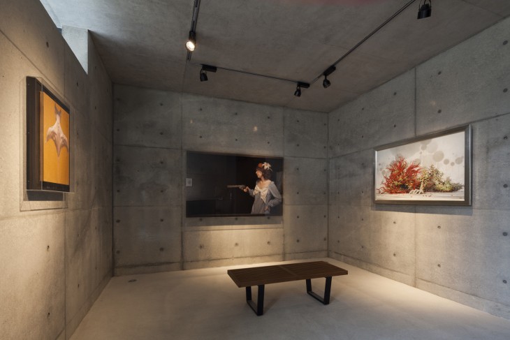 Gaze House (11)