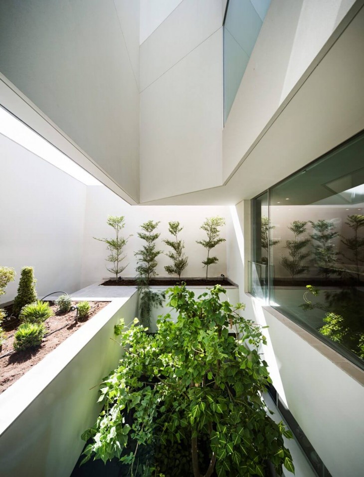 Wall House (5)