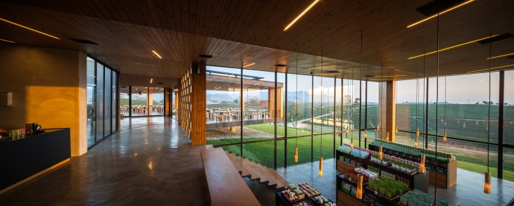 Choui Fong Tea Cafe (1)