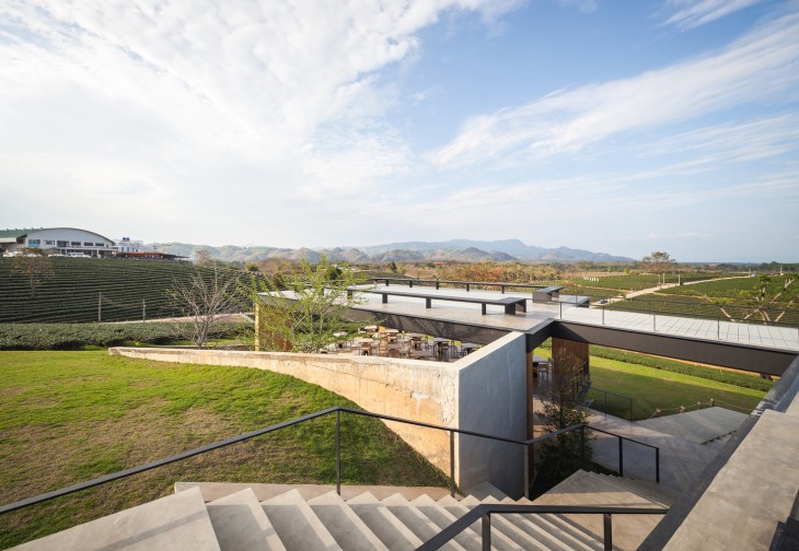 Choui Fong Tea Cafe (10)