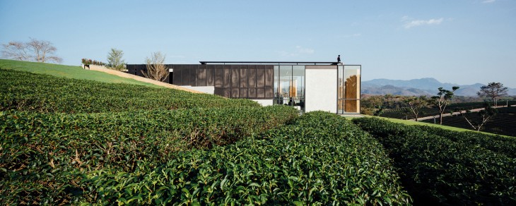 Choui Fong Tea Cafe (3)