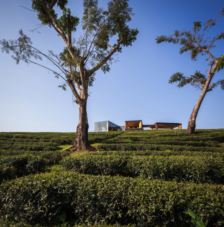 Choui Fong Tea Cafe (4)