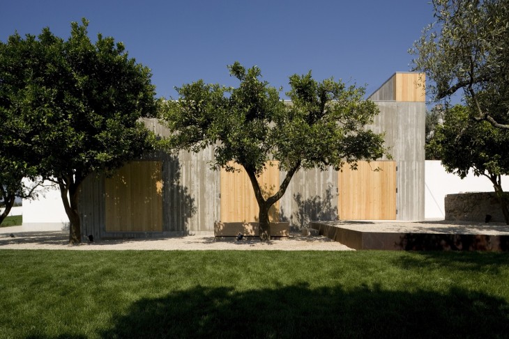 House in Chamusca Da Beira (4)