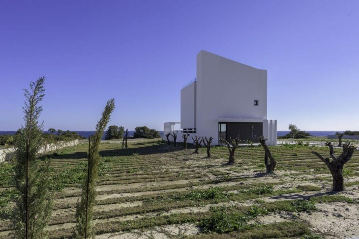 Albatross Residence by Andreas Chadzis (5)