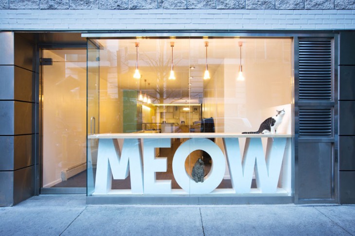 Meow Parlour (1)
