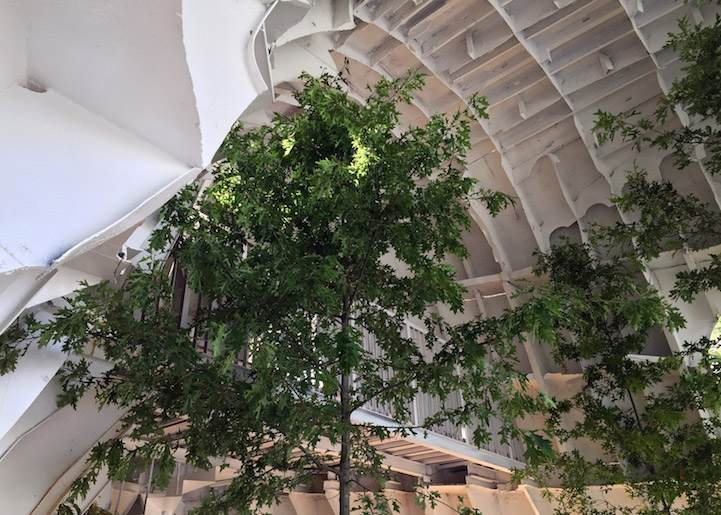 National Museum of Modern and Contemporary Art Pavillon (13)