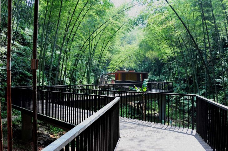 bamboo-gateway-by-west-line-studio-architects