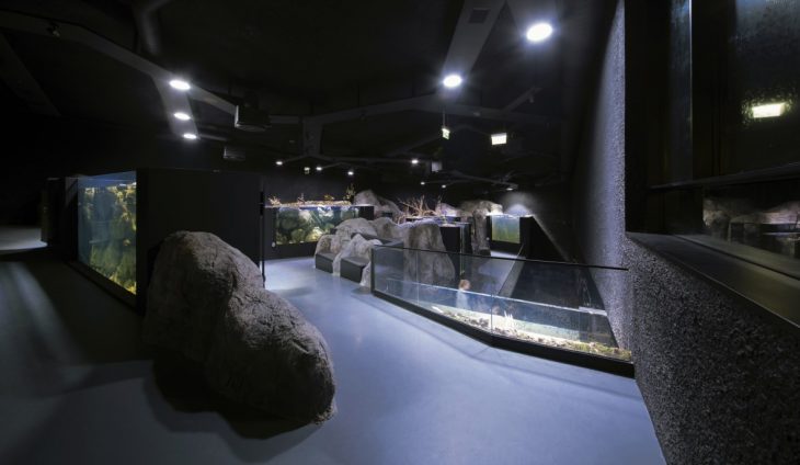 3lhd_224_karlovac_aquarium_photo_by_jure_zivkovic_14