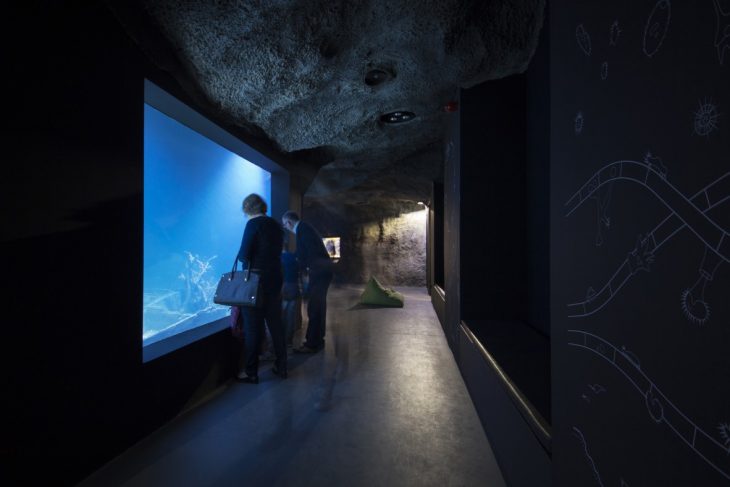 3lhd_224_karlovac_aquarium_photo_by_jure_zivkovic_20