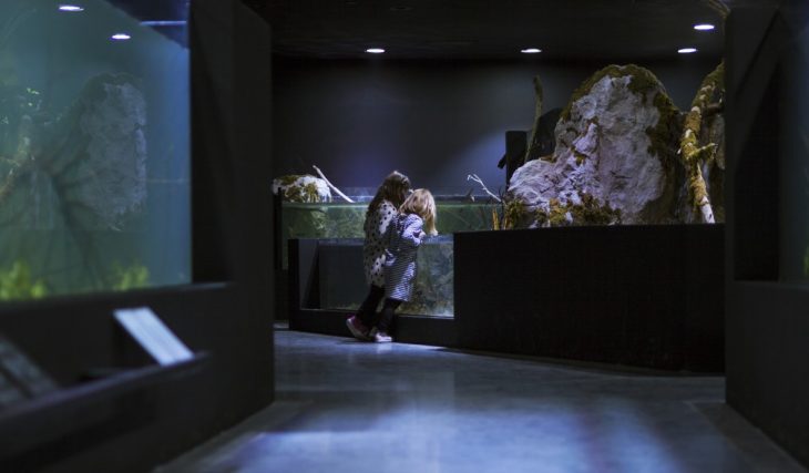 3lhd_224_karlovac_aquarium_photo_by_jure_zivkovic_23