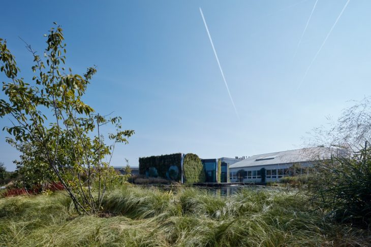 Franek_LIKO_NOE_Boysplaynice_Media_002