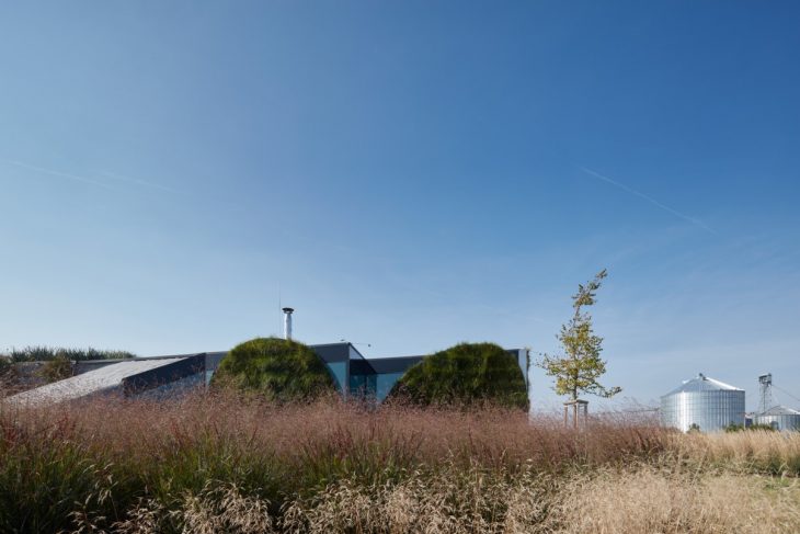 Franek_LIKO_NOE_Boysplaynice_Media_004