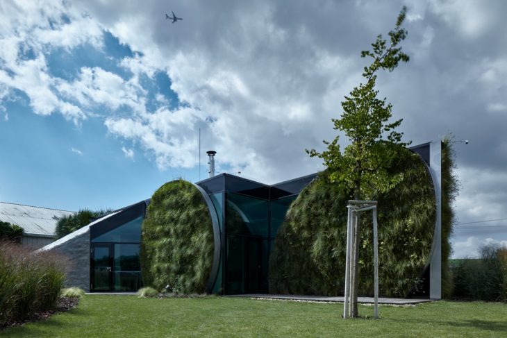 Franek_LIKO_NOE_Boysplaynice_Media_005