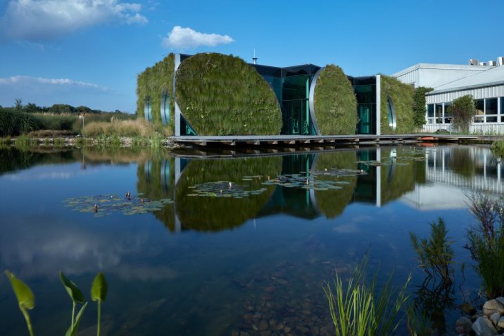 Franek_LIKO_NOE_Boysplaynice_Media_006