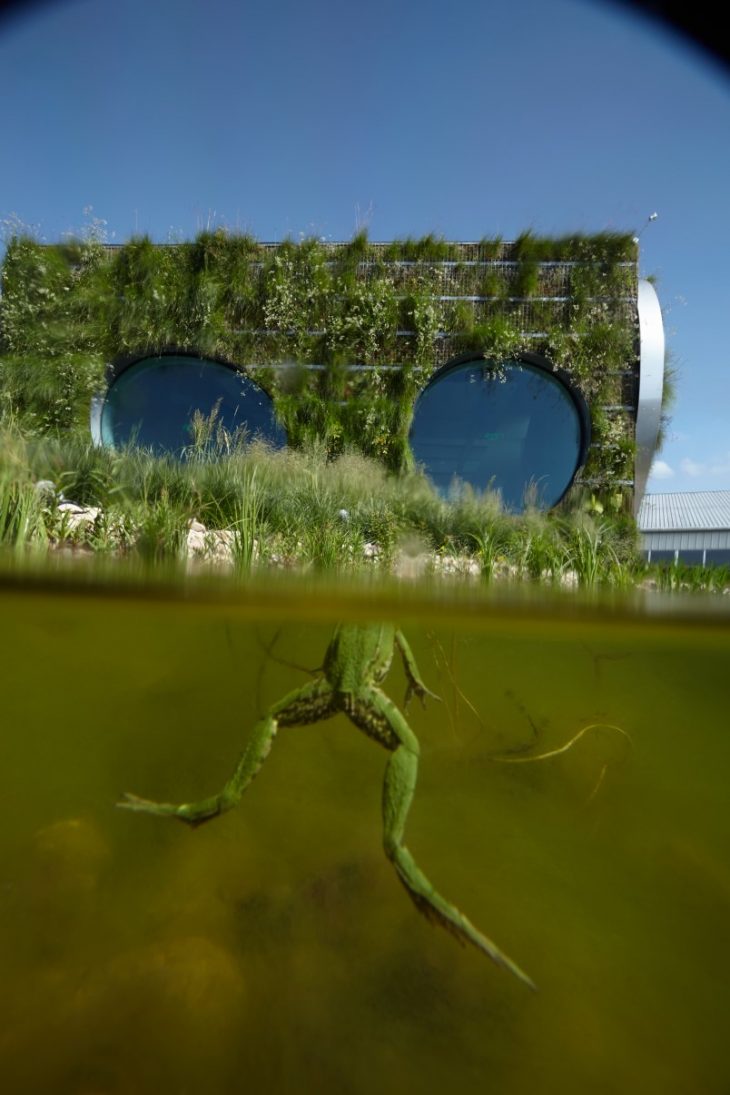 Franek_LIKO_NOE_Boysplaynice_Media_008