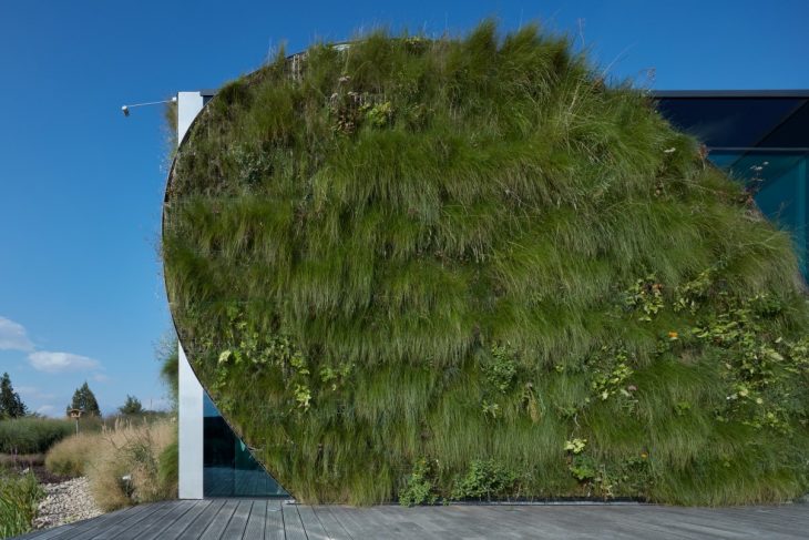 Franek_LIKO_NOE_Boysplaynice_Media_010