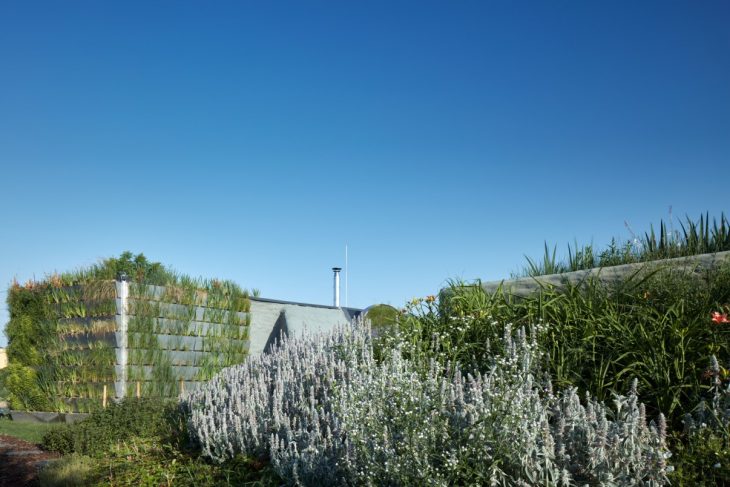 Franek_LIKO_NOE_Boysplaynice_Media_012