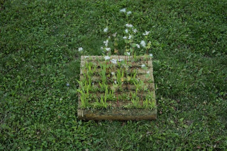 Franek_LIKO_NOE_Boysplaynice_Media_014