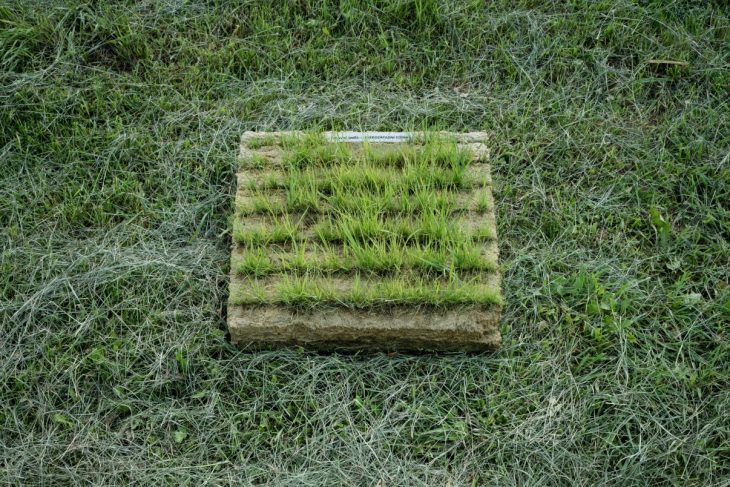 Franek_LIKO_NOE_Boysplaynice_Media_015