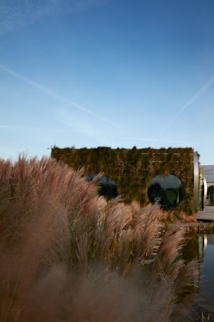 Franek_LIKO_NOE_Boysplaynice_Media_016