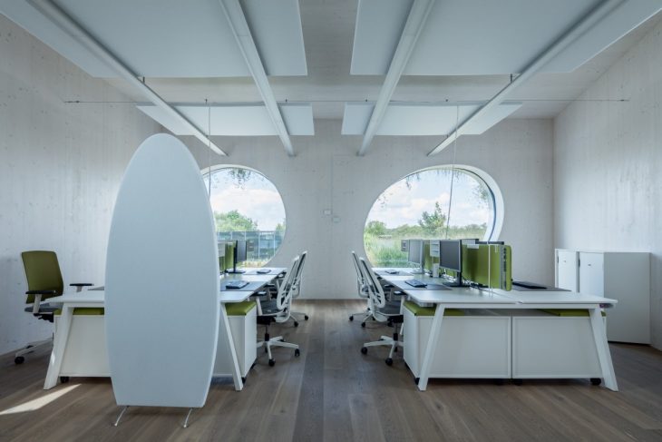 Franek_LIKO_NOE_Boysplaynice_Media_018