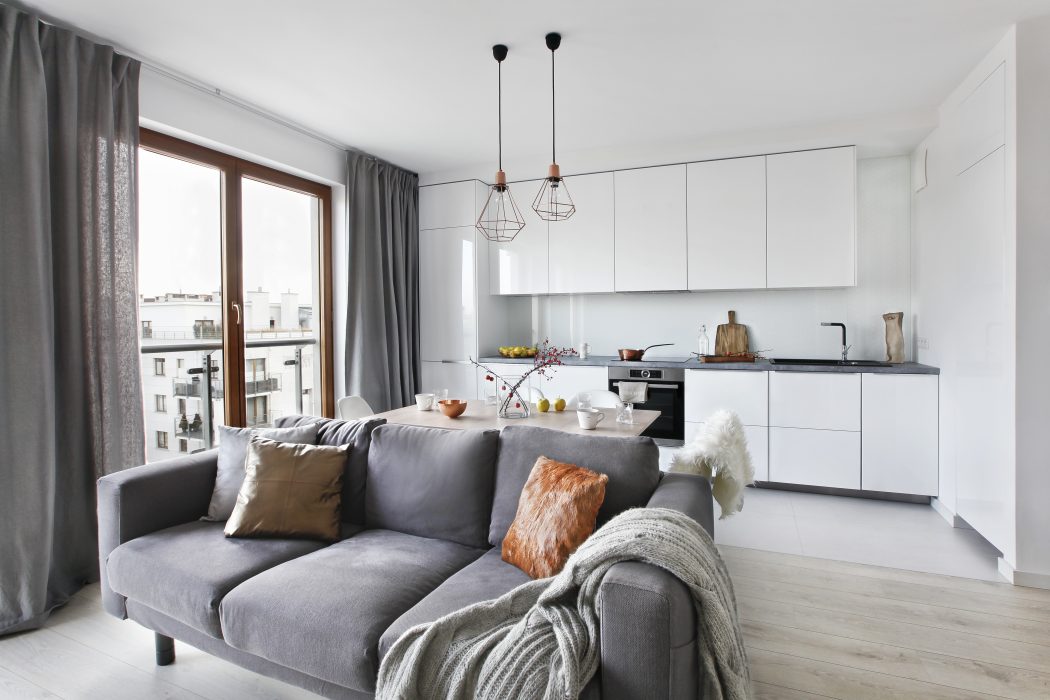 Image showcasing Scandinavian-style Apartment by Agnieszka Kara?. - Archiscene - Your ...