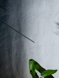 LAS DELFINAS HOUSING (1)